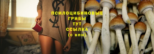 марки nbome Бородино