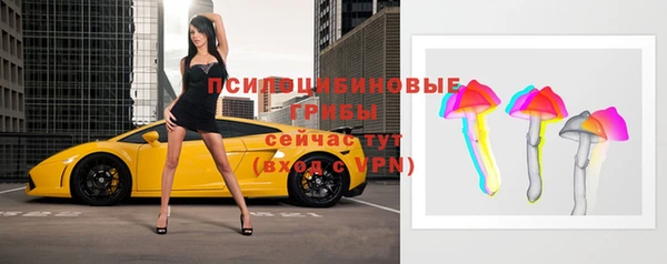 марки nbome Бородино