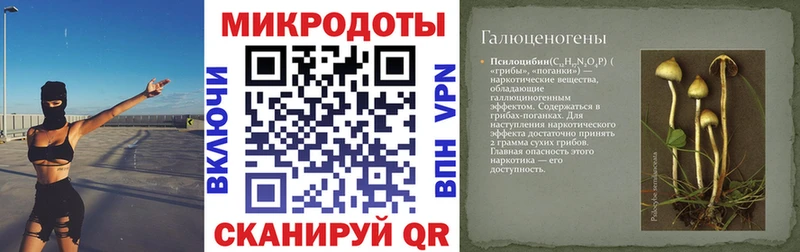 Купить закладки  Мирный  Галлюциногенные грибы прущие грибы 