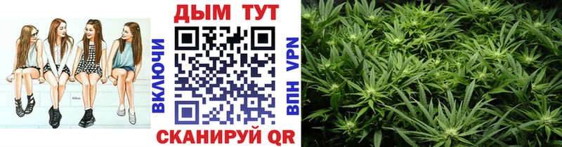 Купить где Мирный Бошки марихуана конопля